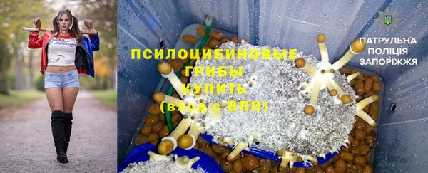 гашик Богданович