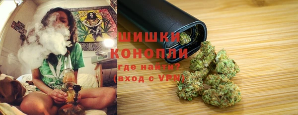 гашик Богданович